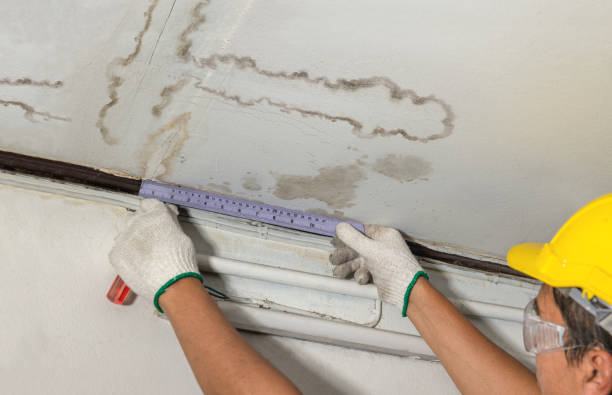 Reliable Flood Cleanup contractor in Tabor, SD by Water Damage Irwin